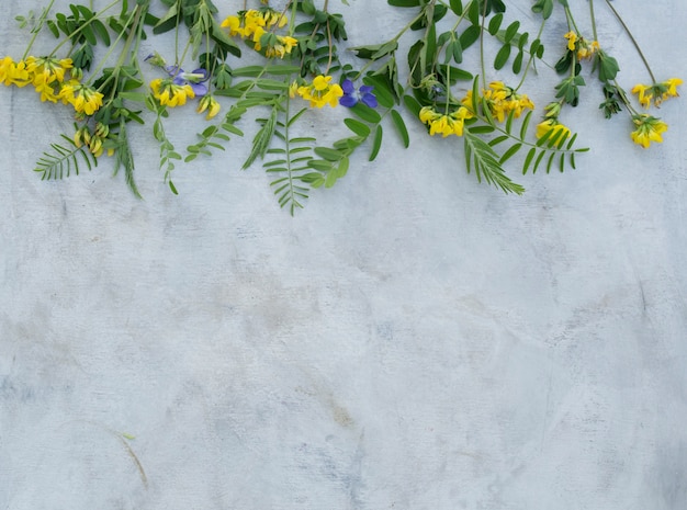 Composizione di fiori estivi su uno sfondo grigio.