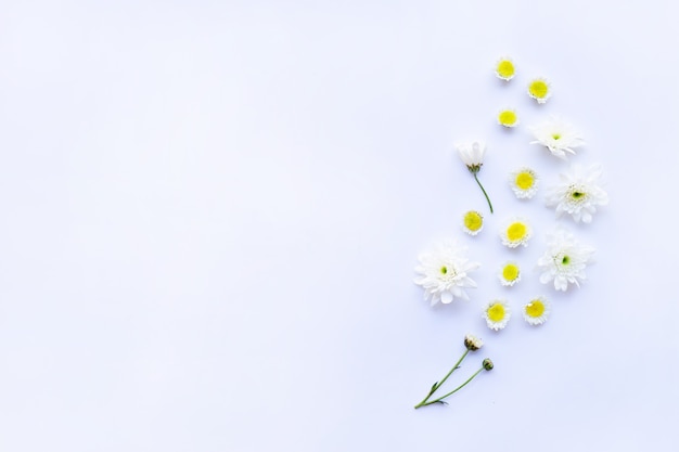 Composizione di fiori gialli bianchi. Crisantemi su bianco.
