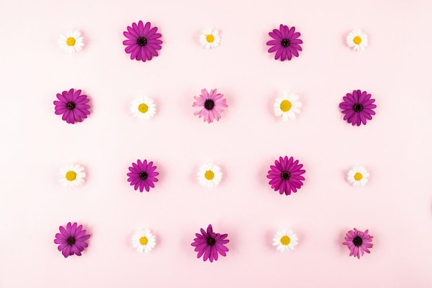 Composizione di fiori in superficie rosa