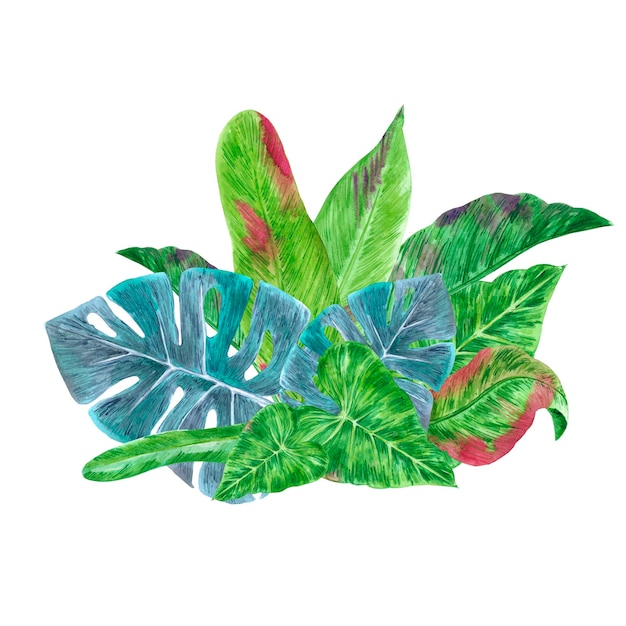 Composizione di foglie tropicali verdi acquerello disegnata a mano isolata su sfondo bianco Può essere utilizzato per la progettazione di striscioni di etichette di cartoline