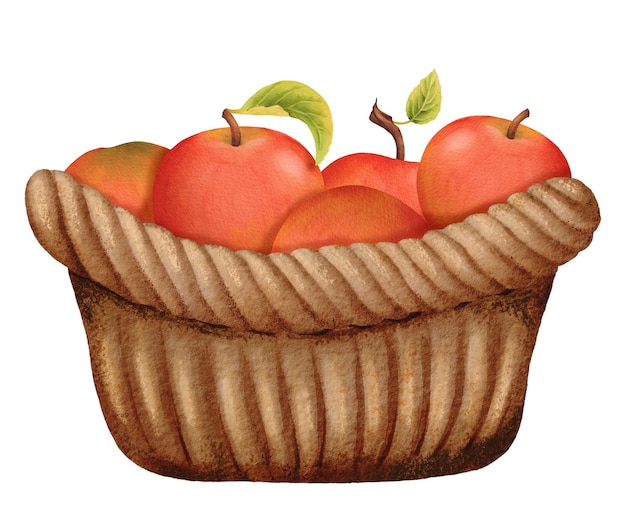 Composizione di mele rosse giuste e mature in cesto di vimini Acquarello eco cibo naturale illustrazione di frutta