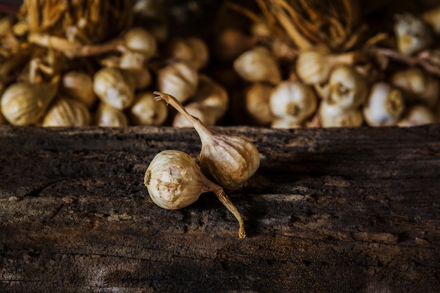 Composizione di natura morta con aglio