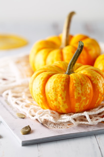 Composizione di natura morta con mini zucche decorative colorate e semi di zucca