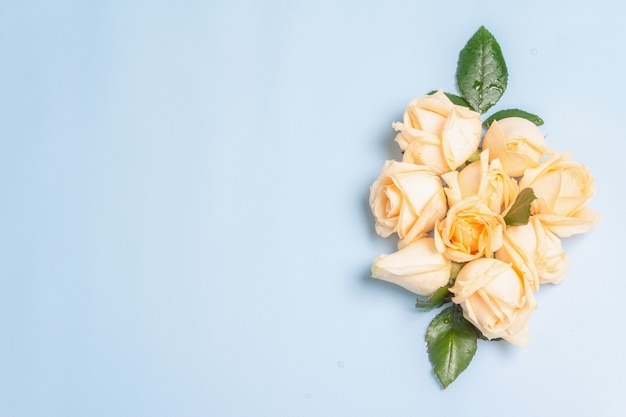 Composizione di rose beige fresche. Il concetto festivo per matrimoni, compleanni, 8 marzo, festa della mamma o San Valentino. Biglietto di auguri, sfondo azzurro