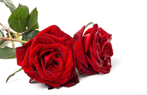 Composizione di rose rosse e scatole regalo