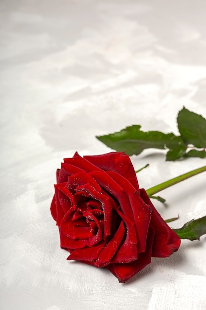 Composizione di rose rosse e scatole regalo