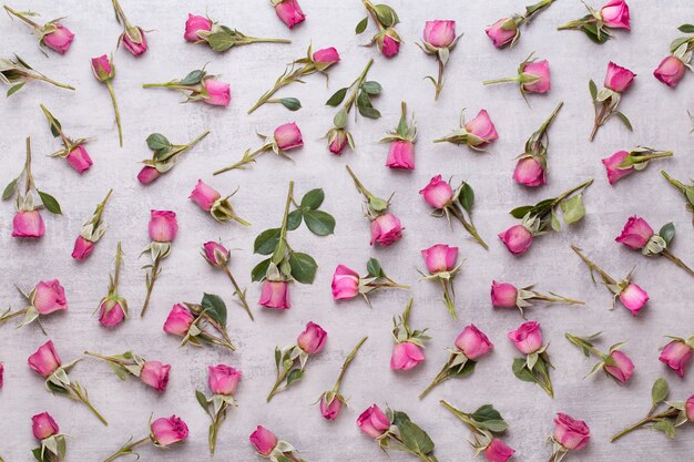 Composizione di San Valentino fiori. Cornice fatta di rosa rosa su sfondo grigio. Appartamento laico, vista dall'alto, copia dello spazio.