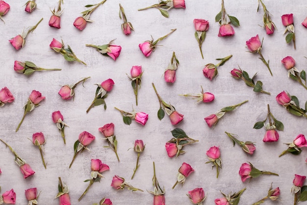 Composizione di San Valentino fiori. Cornice fatta di rosa rosa su sfondo grigio.