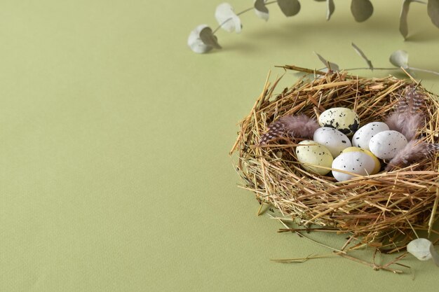 Composizione ecologica di Pasqua Minimalismo dello spazio della copia di Pasqua per pasqua