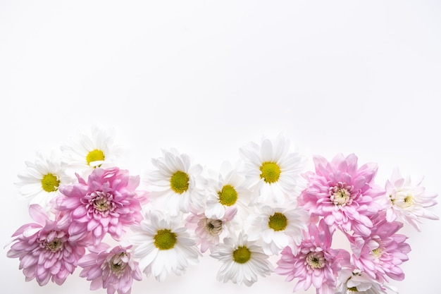 Composizione festiva nel fiore su fondo bianco