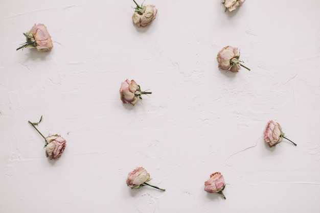 Composizione floreale con motivo a fiori di rose su superficie bianca