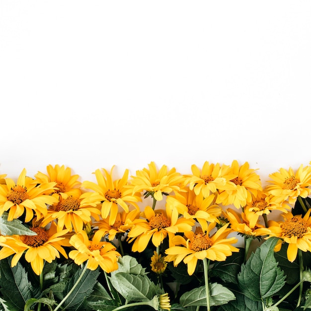 Composizione floreale con struttura del reticolo di fiori margherita gialla sulla superficie gialla