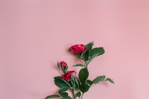 Composizione floreale con un mazzo di rose rosse fresche copia spazio.