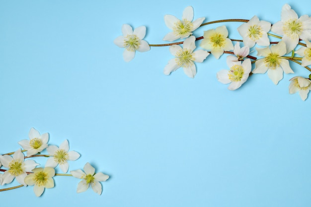 Composizione floreale di primavera