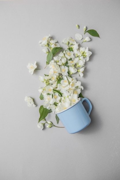 Composizione floreale su sfondo grigio con foglie verdi, fiori in tazza piatta