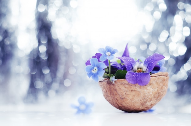 Composizione floristica con viole