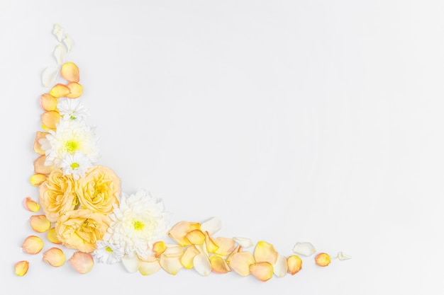 Composizione layout creativo di fiori su sfondo pastello.