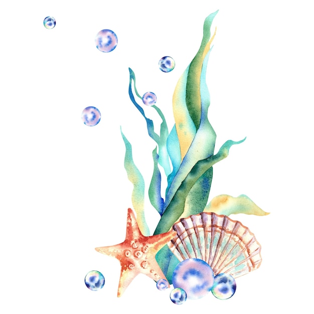 Composizione marina Alghe stelle marine e bolle Illustrazione acquerello Animali subacquei