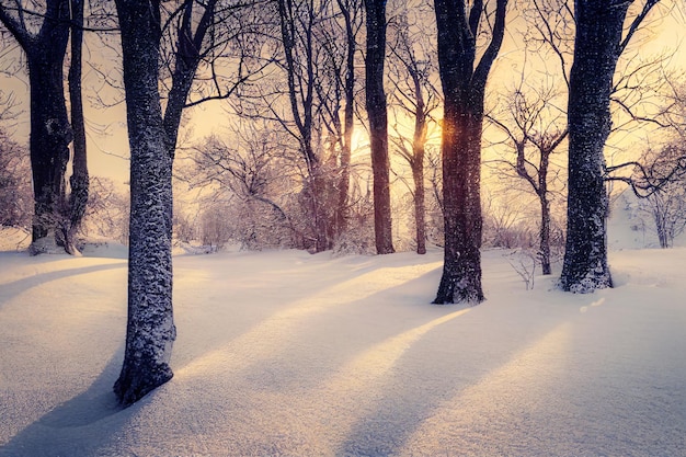 Composizione natalizia invernale domestica su uno sfondo sfocato