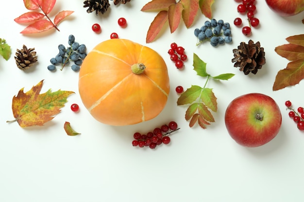 Composizione nel giorno del ringraziamento con zucca su sfondo bianco