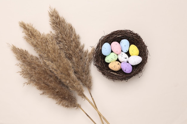 Composizione pasquale da un nido con uova di quaglia colorate rami di canna su sfondo beige pastello Flora naturale piatta
