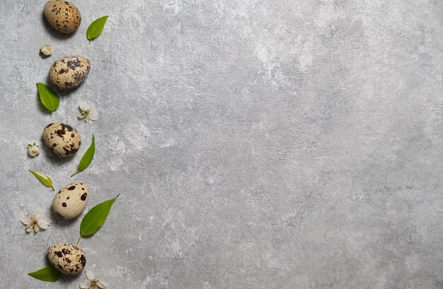 Composizione pasquale. modello di cinque uova di quaglia e foglie verdi su un muro grigio.