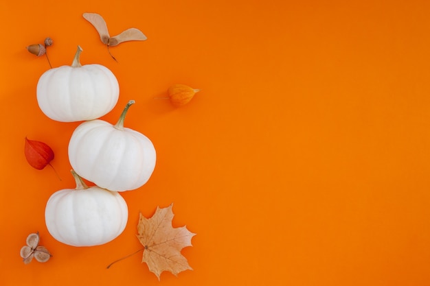 Composizione piatta autunnale con zucche bianche