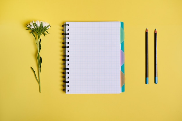 Composizione piatta con fiori di aster disposti accanto a un blocco note dell'organizzatore con fogli bianchi vuoti e due matite, isolato su sfondo giallo con spazio di copia