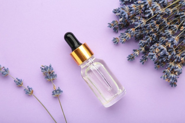 Composizione piatta con fiori di lavanda e olio di lavanda su sfondo viola