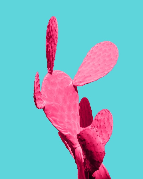 Composizione pop art di natura morta surreale alla moda minimale cactus rosa tropicale al neon alla moda