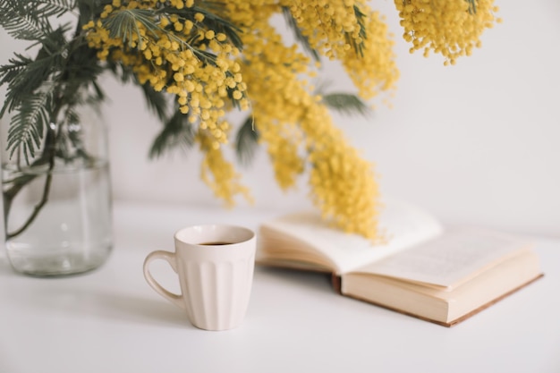 Composizione primaverile con un libro della tazza di caffè e fiori gialli della mimosa su un fondo bianco della tavola