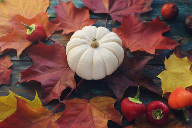 Composizione stagionale con zucca e foglie autunnali su tavola di legno rustica Halloween o decorazione di ringraziamento sfondo fuoco selettivo