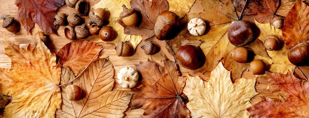 Composizione stagionale in autunno con foglie di acero gialle, bacche di sorbo, castagne e zucche decorative sul tavolo di legno. Lay piatto, copia dello spazio.