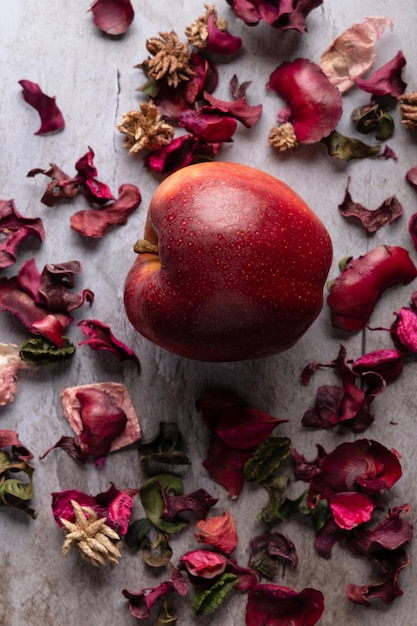 composizioni di mele rosse e petali in studio