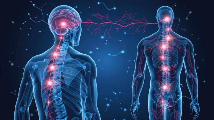 Foto comprendere la sclerosi laterale amiotrofica debolezza muscolare e visualizzazione dell'atrofia del midollo spinale