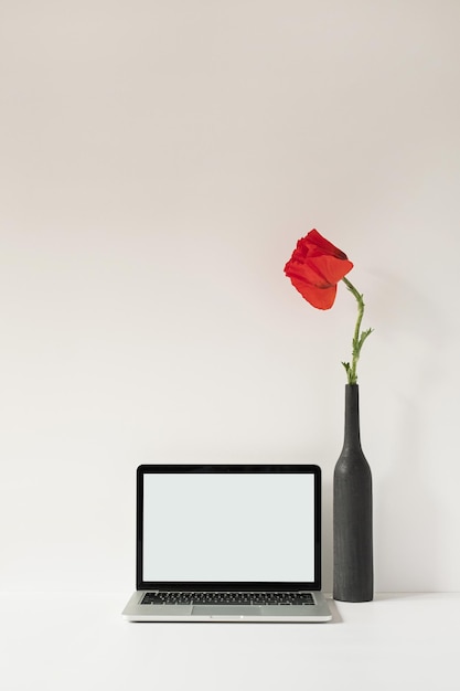 Computer portatile con schermo vuoto con spazio per la copia Spazio di lavoro minimalista per la scrivania da casa con fiore di papavero rosso in bottiglia