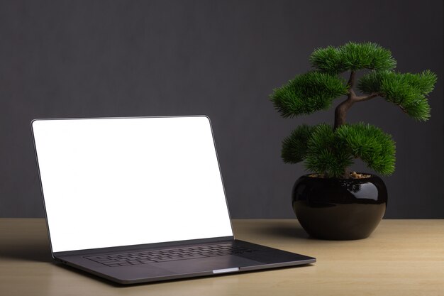 Computer portatili con bonsai sul tavolo Lo sfondo è uno sfondo grigio scuro.