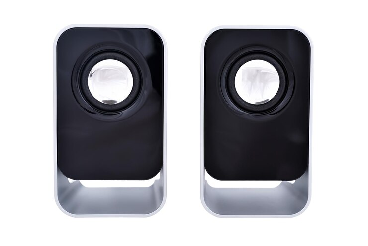 Computer speakers