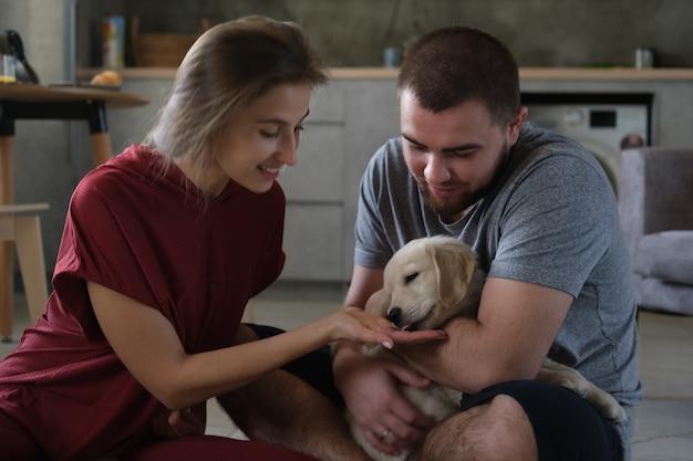 Comunicazione con il cane a casa. Cucciolo di Golden Retriever