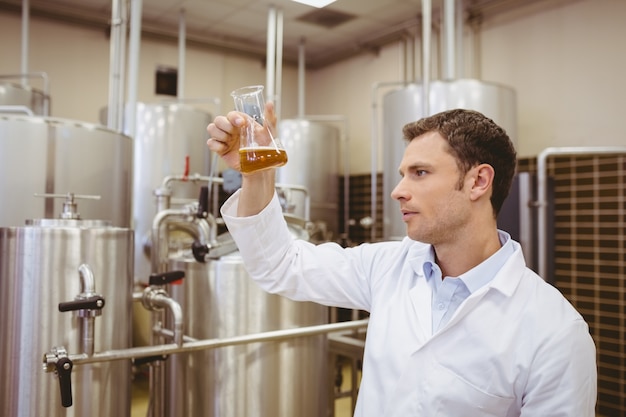 Concentrato di birra esaminando il becher con la birra