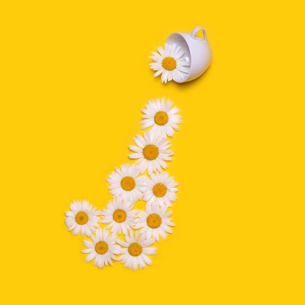 Concept creativo originale con una tazza bianca e fiori su sfondo giallo