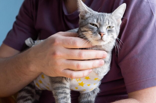 Concept di sterilizzazione degli animali domestici Ritratto di un gattino adorabile in una benda speciale che si riprende dopo un intervento chirurgico