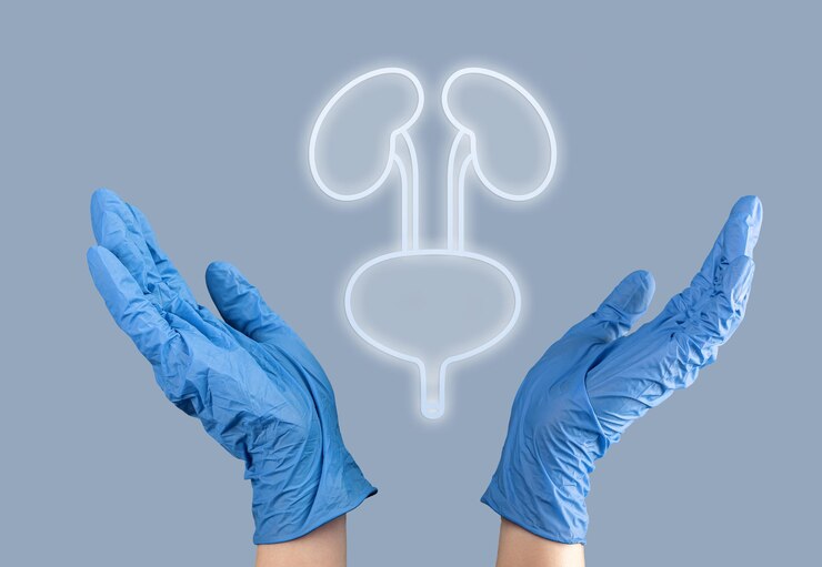 Concepto di diagnostica e assistenza sanitaria per i reni e gli organi della vescica