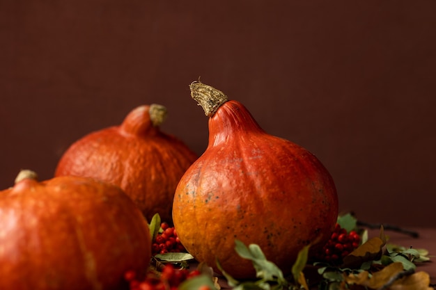 Concetto autunnale con una zucca su uno sfondo scuro con foglie autunnali che celebrano halloween e