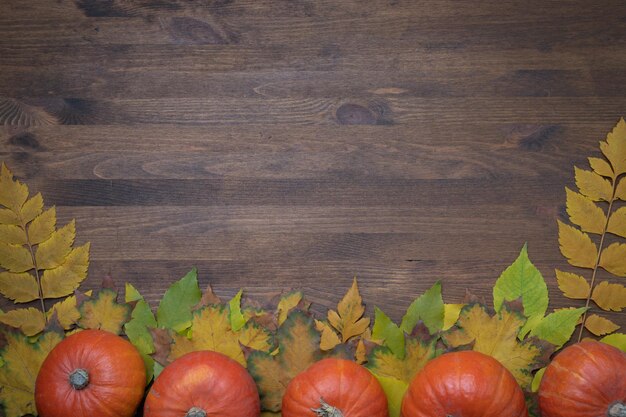 Concetto del giorno del ringraziamento con zucche e foglie d'autunno, sfondo, vista dall'alto