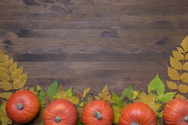 Concetto del giorno del ringraziamento con zucche e foglie d'autunno, sfondo, vista dall'alto