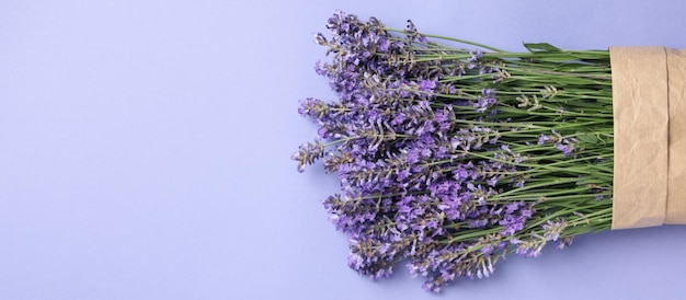 Concetto di accogliente con fiori fiori di lavanda spazio per il testo