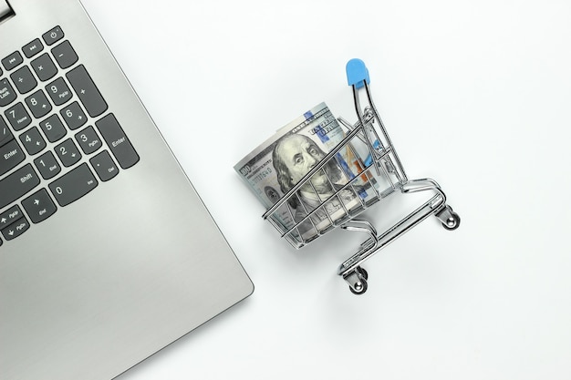 Concetto di acquisto online. Carrello con dollari, laptop su uno sfondo bianco