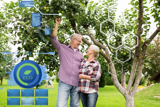 concetto di agricoltura biologica, agricoltura e persone - felice coppia senior con melo nel giardino estivo