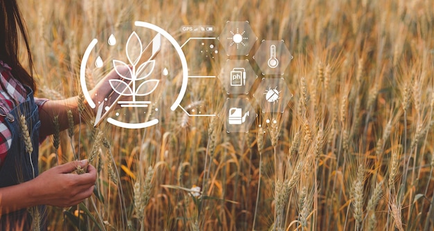 Concetto di agricoltura intelligente Agricoltore con tecnologia tablet digitale sullo sfondo del campo di grano Gli agricoltori professionisti utilizzano il sistema di computer IOT di Internet delle cose per gestire l'idea moderna dell'agricoltura delle fattorie